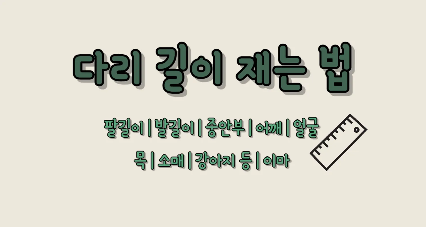 다리 길이 재는 법