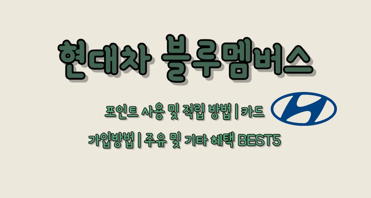 현대차 블루멤버스 포인트