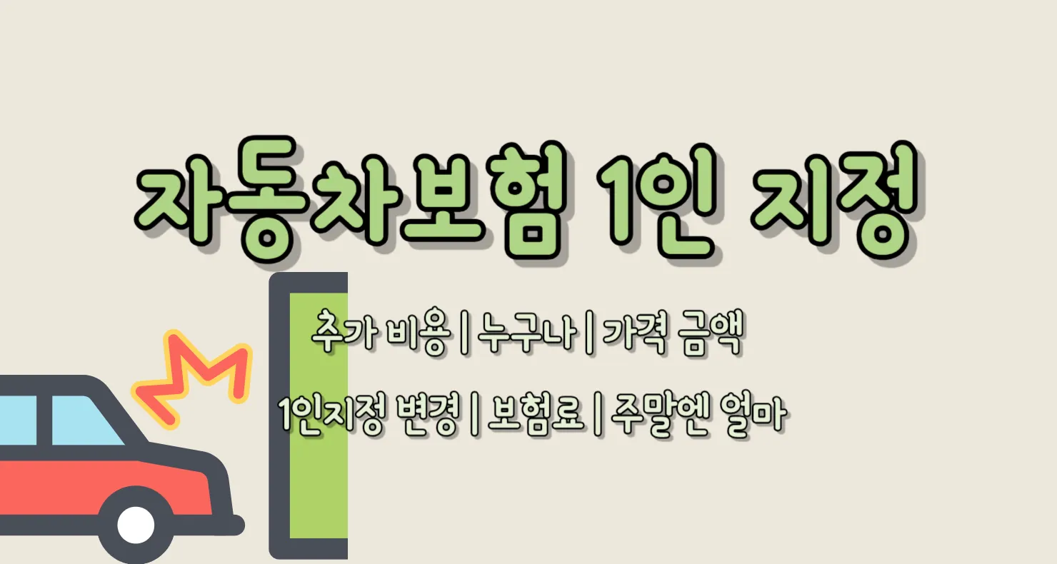 자동차보험 1인 지정